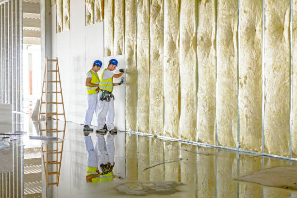 Types of Insulation We Offer in Haymarket, VA